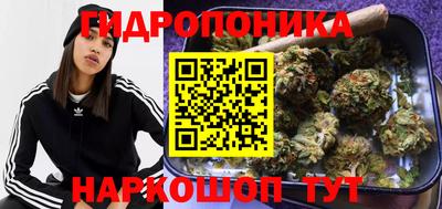 эйфоретик Кингисепп